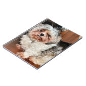 Shih Tzu Notitieboek (Linkerzijde)