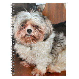 Shih Tzu Notitieboek