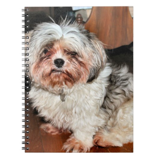 Shih Tzu Notitieboek (Voorkant)