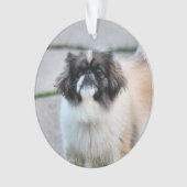 Shih tzu ornament (voorkant)