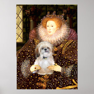 Shih Tzu (P) - Koningin Poster