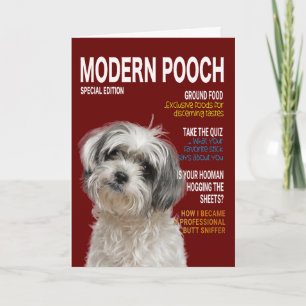 Shih Tzu Parody Magazine Hoesje Card Kaart