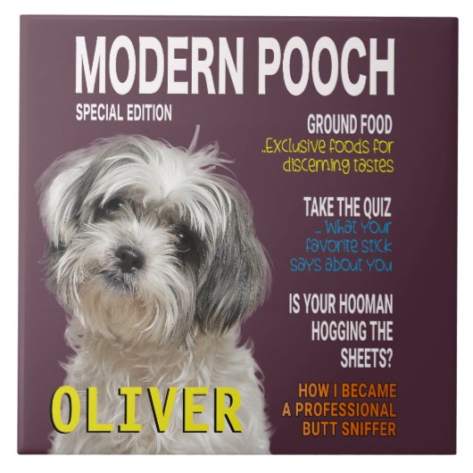 Shih Tzu Parody Magazine Hoesje Tegeltje (Voorkant)