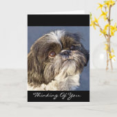 Shih Tzu pense à vous sur une carte de voeux - ver (Fleur jaune)