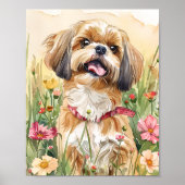 Shih Tzu Portrait Art - Schattigee Dog Wall Print  (Voorkant)
