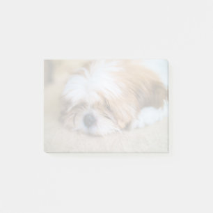 Shih Tzu Post-it® Notes