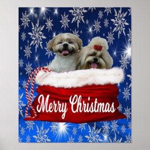 Shih tzu Poster Kerstmis