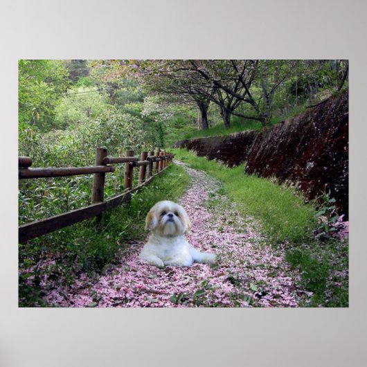 Shih Tzu Poster Purple Flowers (Voorkant)
