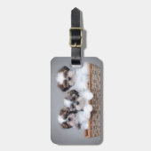 Shih Tzu puppies Bagagelabel (Voorkant verticaal)