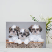 Shih Tzu puppies Briefpapier (Staand voorkant)