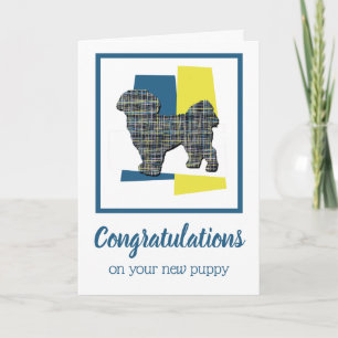 Shih Tzu Puppy Dog Gefeliciteerd Wenskaart Kaart