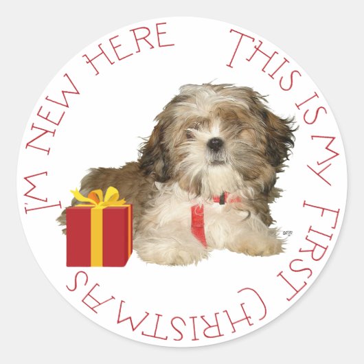 Shih Tzu Puppy First Kerstmis Ronde Sticker (Voorkant)