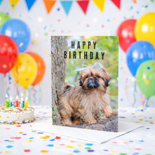 Shih Tzu Puppy Gelukkige Verjaardag Kaart Cute Hon