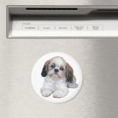 Shih Tzu Puppy Magnet (In Situ (Lave-vaisselle))