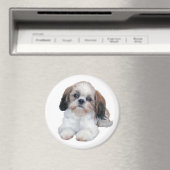 Shih Tzu Puppy Magnet Magneet (Insitu (Vaatwasser))