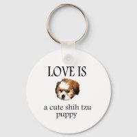 Shih Tzu Puppy