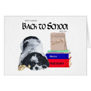 Shih Tzu Retour à l'école