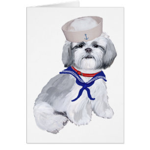 Shih Tzu Sailor