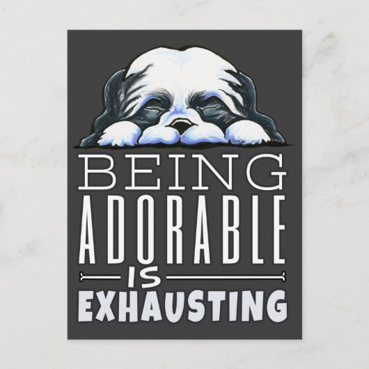 Shih Tzu Schattig Briefkaart (Voorkant)