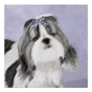 Shih Tzu schilderen - Kute Original Dog Art Perfect Poster