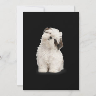Shih Tzu   Shih Tzu Puppy Gift Bedankkaart
