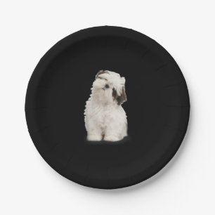 Shih Tzu Shih Tzu Puppy Gift Papieren Bordje