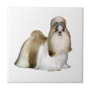 Shih Tzu (Shows standaard) Tegeltje