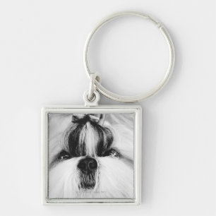 Shih Tzu Sleutelhanger