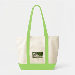 Shih Tzu Tas