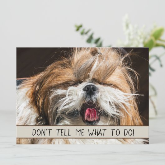 Shih tzu tongue grappig Vertel me niet wat ik moet (Staand voorkant)
