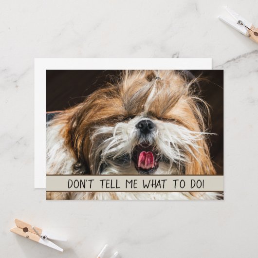 Shih tzu tongue grappig Vertel me niet wat ik moet (Voorkant / Achterkant in situ)