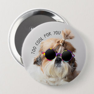 Shih Tzu too Cool for you Sunbril Foto Ronde Button 4,0 Cm