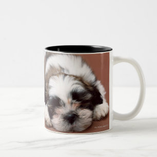 Shih Tzu Tweekleurige Koffiemok