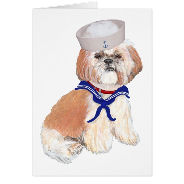 Shih Tzu Zeiler (Voorkant)