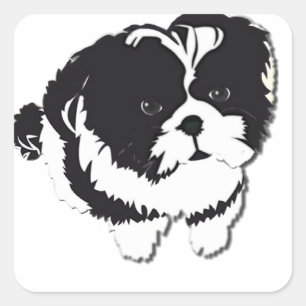 Shih Tzu Zwart Wit Hond Pet Vierkante Sticker