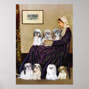 Shih Tzus (zeven) - Klokkenluiders moeder Poster