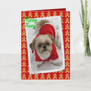 shih van tzu leuke santa van tzulhasa de feestdagen kaart