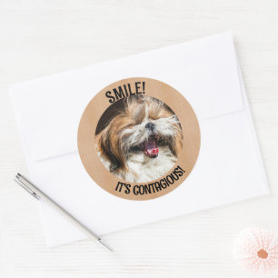 Shihtzu lachen glimlach het is besmettelijke aange ronde sticker