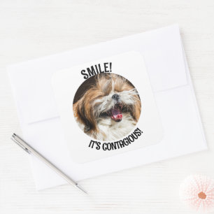 Shihtzu lachen glimlach het is besmettelijke aange vierkante sticker