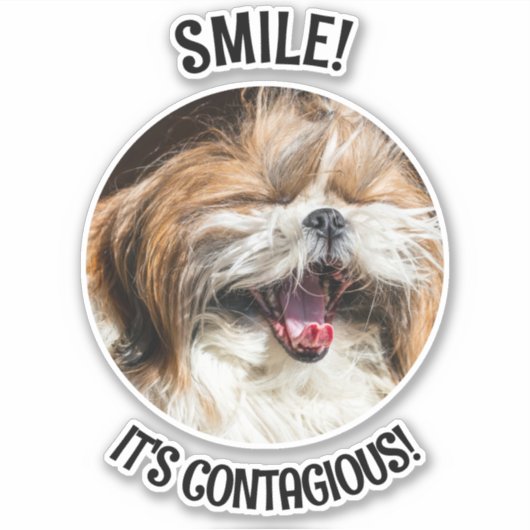 Shihtzu lachende glimlach het is besmettelijk aang sticker (Voorkant)