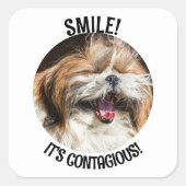 Shihtzu lachende glimlach het is besmettelijk aang vierkante sticker (Voorkant)
