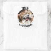 Shihtzu lachende glimlach het is besmettelijk aang vierkante sticker (Tas)