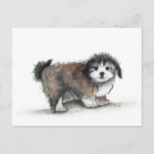 Shihtzu Puppy Dog, Pet Briefkaart