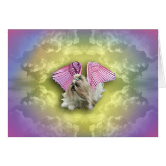 shihtzugoddess daalt uit de hemel