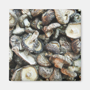 Shiitake paddenstoelen magneet