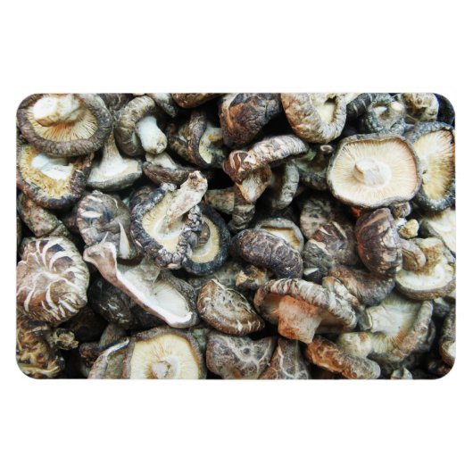 Shiitake paddenstoelen magneet (Horizontaal)