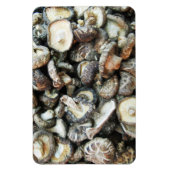 Shiitake paddenstoelen magneet (Verticaal)