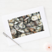 Shiitake paddenstoelen rechthoekige sticker (Envelop)
