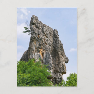 Shilin-pinnacles Steenwoud - Yunnan,China,Azië Briefkaart