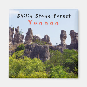 Shilin-pinnacles Steenwoud - Yunnan,China,Azië Magneet